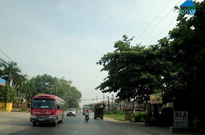 Tìm người chứng kiến vụ tai nạn giao thông chết người ở Sóc Sơn (Hà Nội) - Ảnh 1.