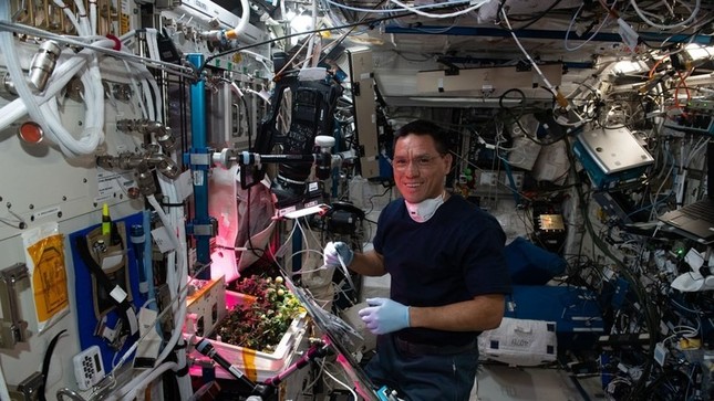 Tìm thấy quả cà chua 'mất tích' suốt 8 tháng trên trạm vũ trụ ISS - Ảnh 1.