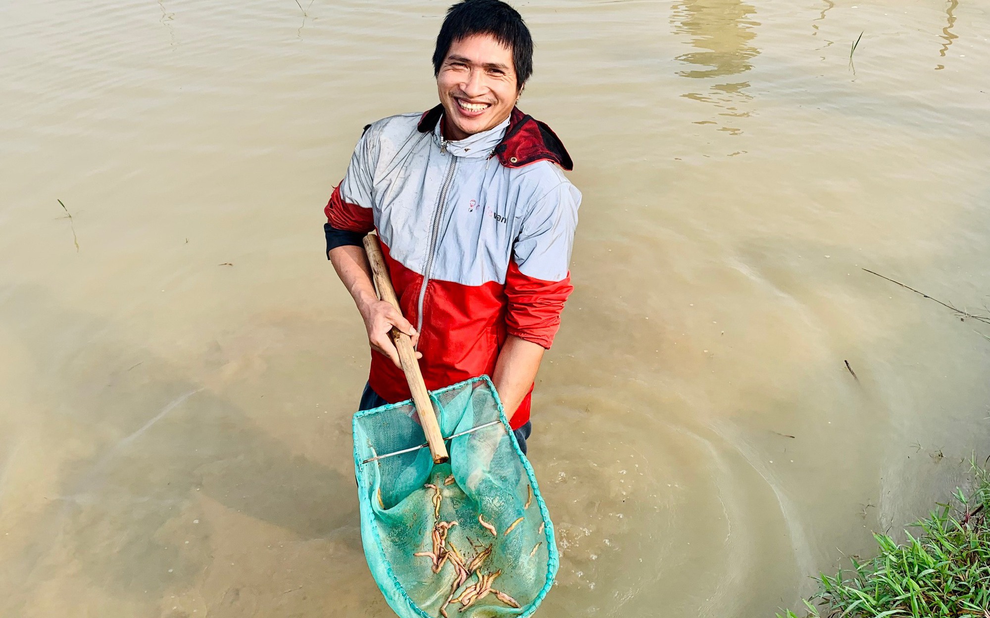 Trắng đêm "săn" rươi kiếm tiền triệu tiêu Tết