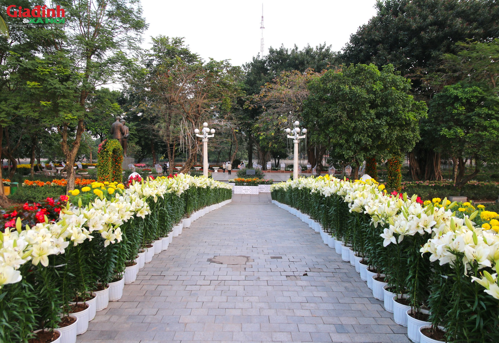 Người dân thích thú chiêm ngưỡng hơn 60.000 gốc hoa mới được trưng bày tại công viên Thống Nhất - Ảnh 1.