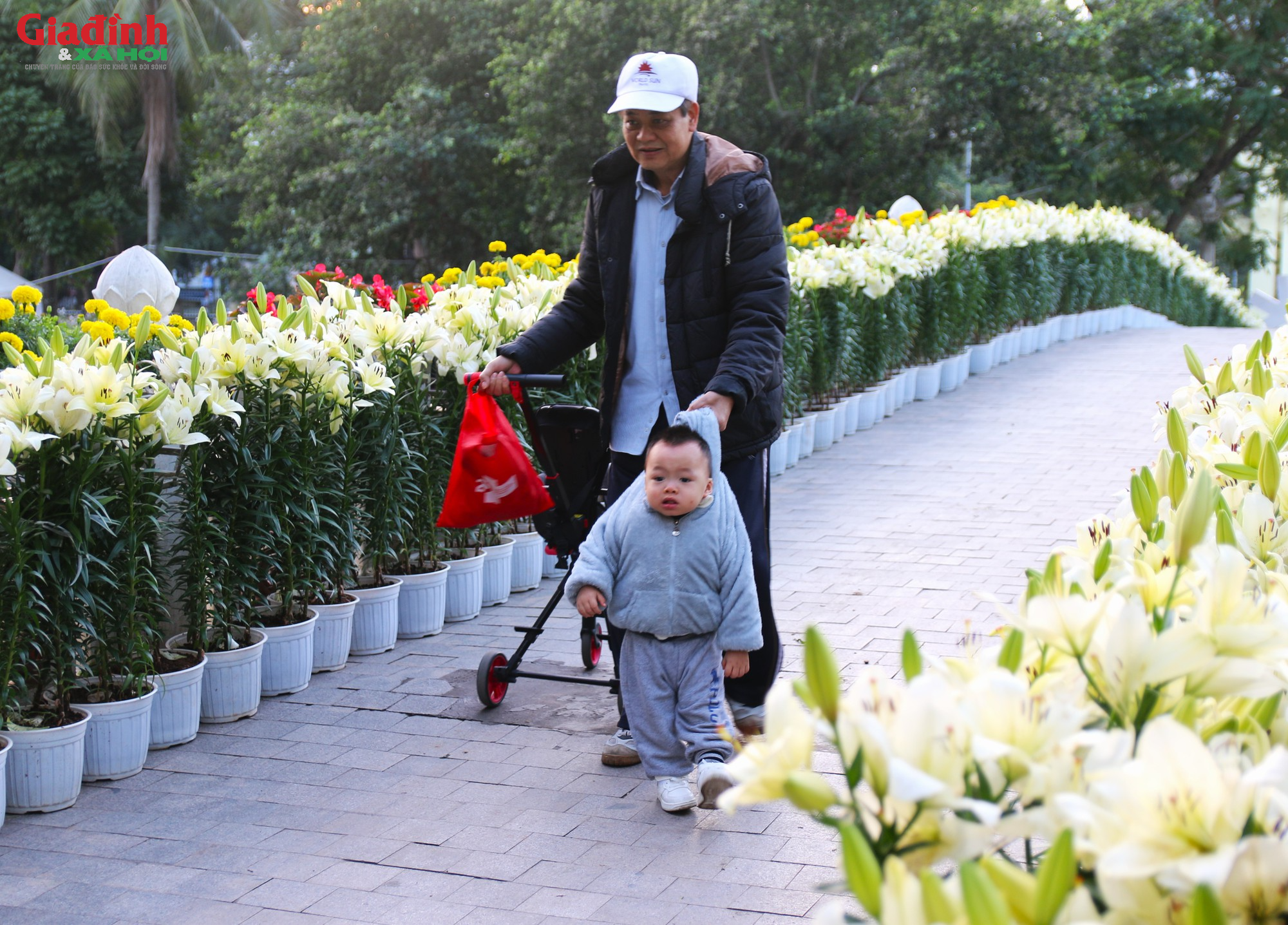 Người dân thích thú chiêm ngưỡng hơn 60.000 gốc hoa mới được trưng bày tại công viên Thống Nhất - Ảnh 3.