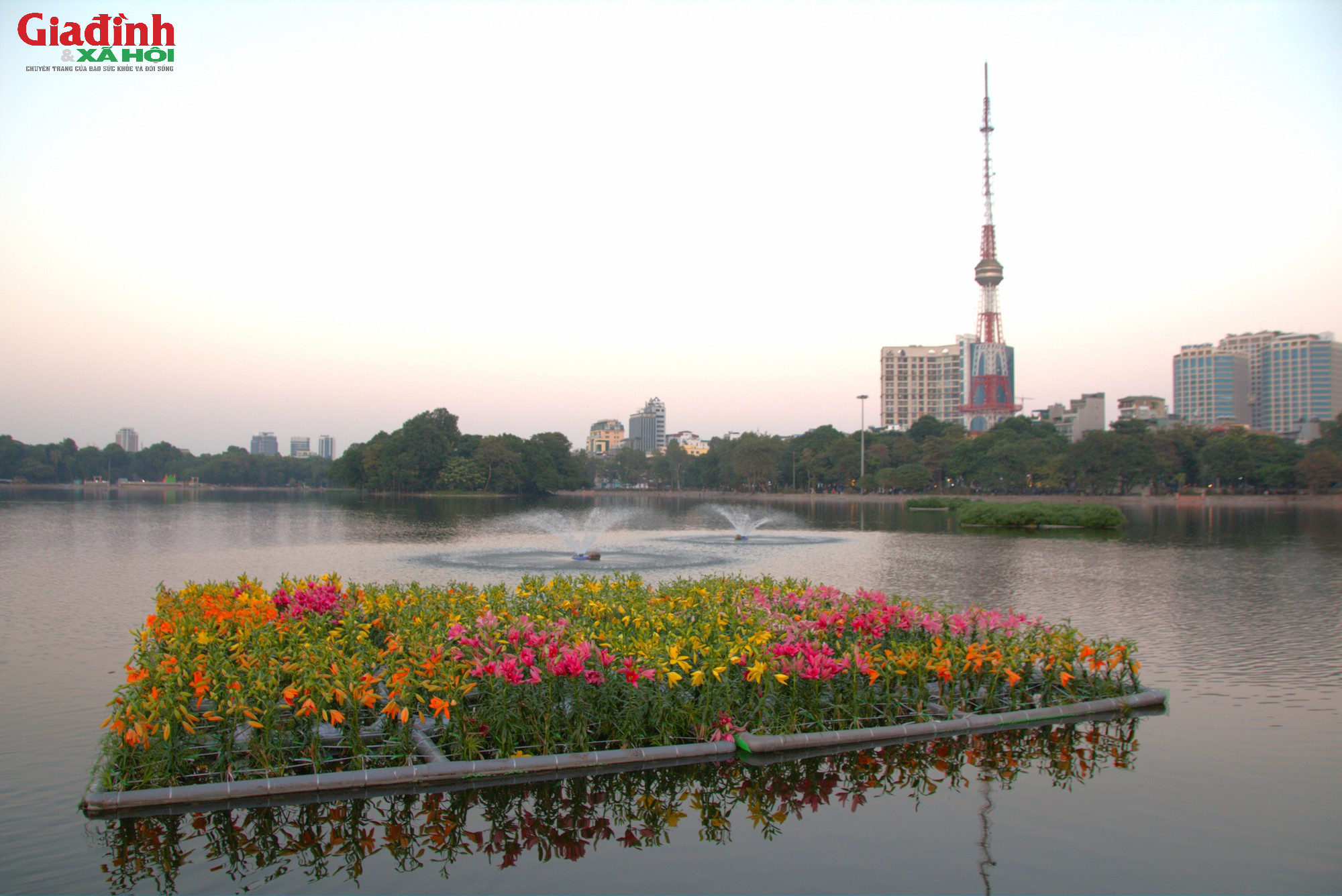 Người dân thích thú chiêm ngưỡng hơn 60.000 gốc hoa mới được trưng bày tại công viên Thống Nhất - Ảnh 4.
