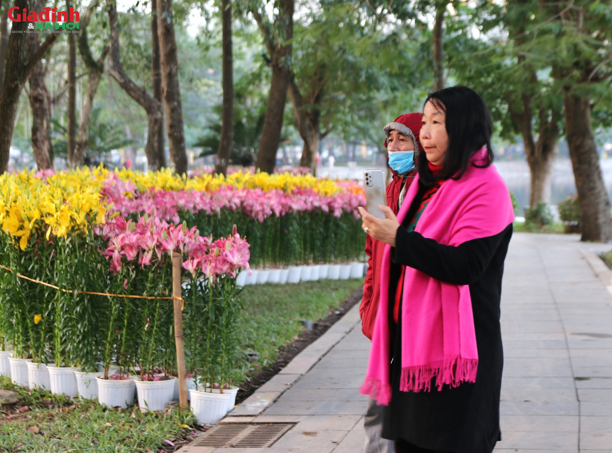 Người dân thích thú chiêm ngưỡng hơn 60.000 gốc hoa mới được trưng bày tại công viên Thống Nhất - Ảnh 6.