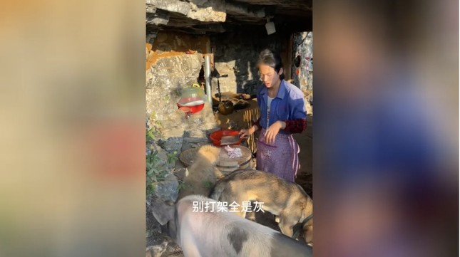 Trung Quốc: Thanh niên 21 tuổi ‘nghỉ hưu’, về dựng lều sống cheo leo trên núi - Ảnh 2.