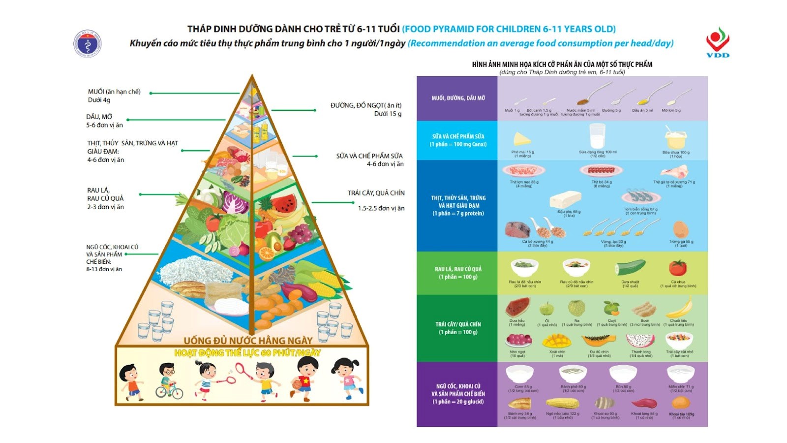 Tháp dinh dưỡng cho trẻ từ 6-11 tuổi cha mẹ nào cũng nên biết - Ảnh 1.