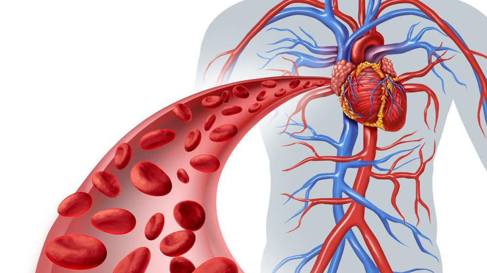 Khi mạch máu gặp vấn đề, tay và chân sẽ phát ra tín hiệu cảnh báo, nếu có cần đi khám sớm - Ảnh 1. Khi mạch máu gặp vấn đề, tay và chân sẽ phát ra tín hiệu cảnh báo, nếu có cần đi khám sớm - Ảnh 1.