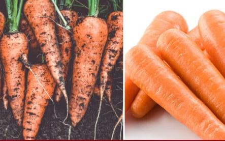 Nên mua cà rốt sạch hay còn dính bùn đất?