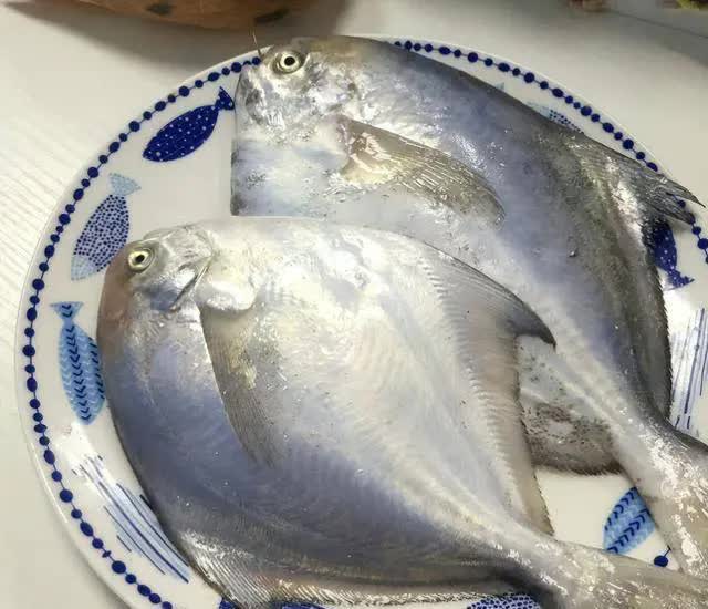 Những người am hiểu sẽ mua 3 loại cá này để làm các món cá ngon trong mùa đông vì chúng rất giàu protein và hương vị chất lượng  - Ảnh 3.