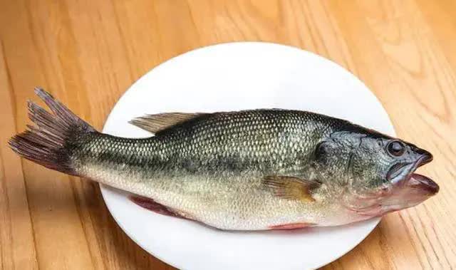 Những người am hiểu sẽ mua 3 loại cá này để làm các món cá ngon trong mùa đông vì chúng rất giàu protein và hương vị chất lượng  - Ảnh 1.