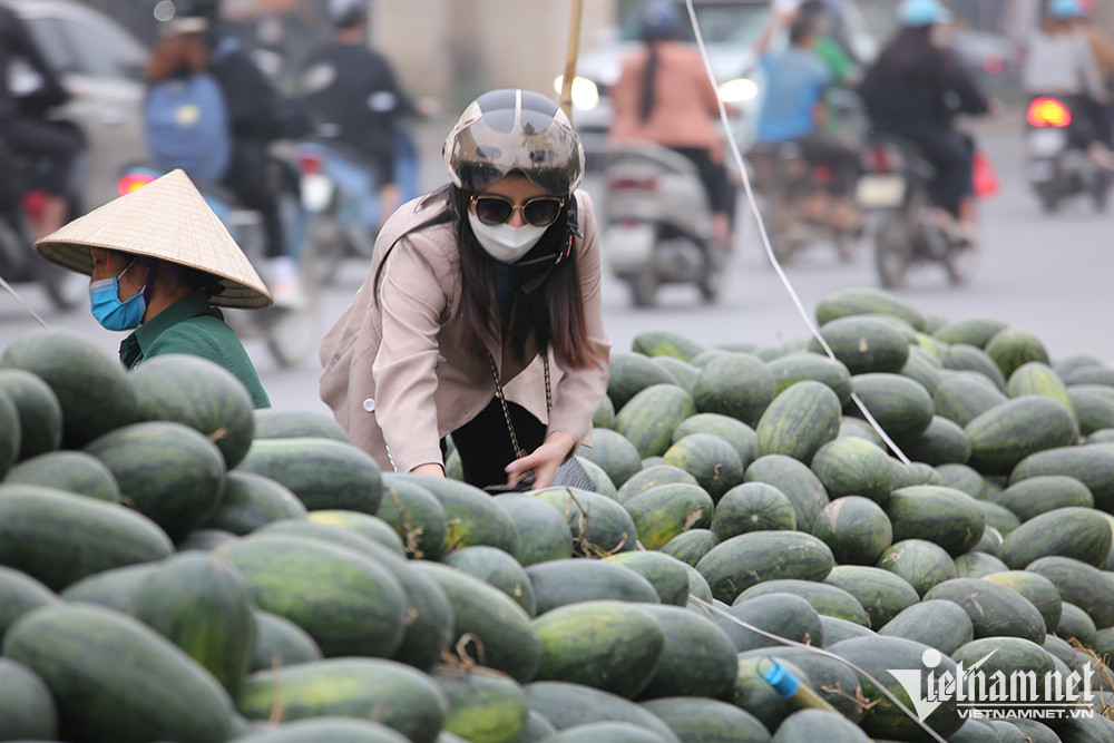 Nông sản ùn ùn sang Trung Quốc, giá nhiều loại trái cây tăng dựng đứng - Ảnh 2.