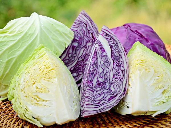 Thực hư công dụng của rau bắp cải với người mắc bệnh tuyết giáp, đây là 6 lý do bạn nên đưa rau bắp cải vào thực đơn gia đình