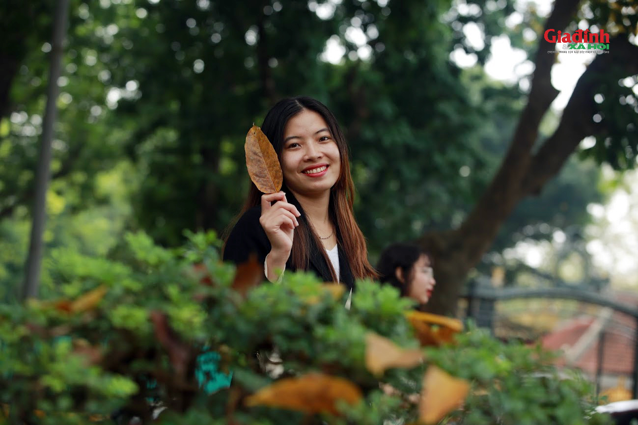 Cây thay lá giữa Xuân Hà Nội, giới trẻ thi nhau 'check-in' trên phố dải đầy lá vàng - Ảnh 8.