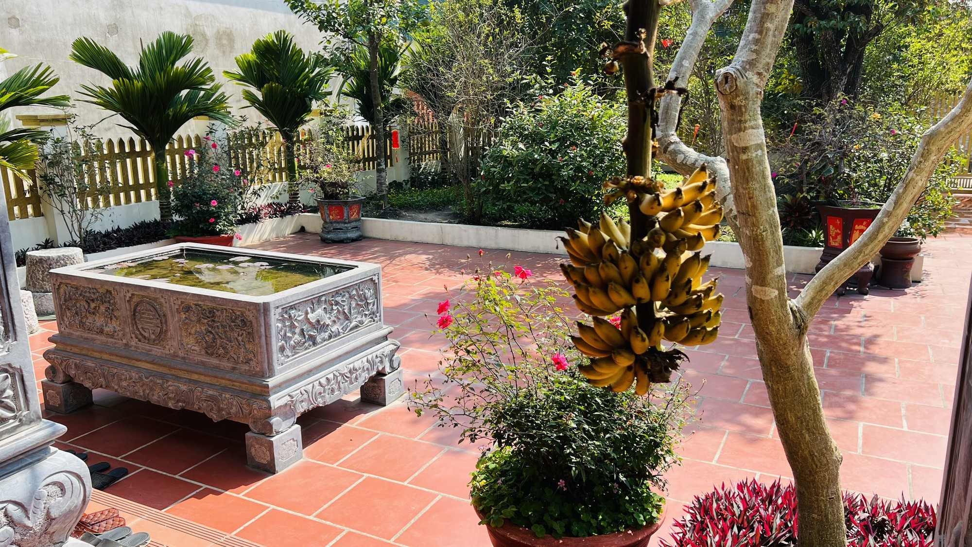 Cận cảnh nhà vườn xinh đẹp của ca sĩ Hồ Quang 8 - Ảnh 12.