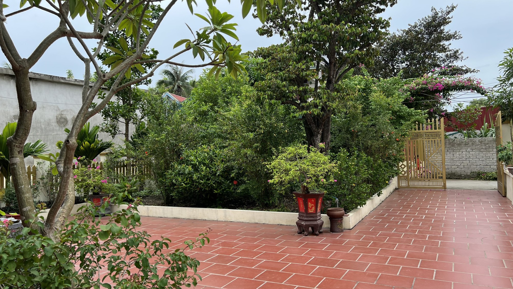 Cận cảnh nhà vườn xinh đẹp của ca sĩ Hồ Quang 8 - Ảnh 4.