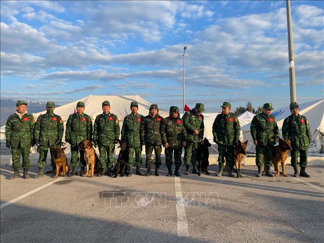 Động đất tại Thổ Nhĩ Kỳ, Syria: Những thành công của đội chó nghiệp vụ tìm kiếm cứu nạn của QĐND Việt Nam - Ảnh 1.