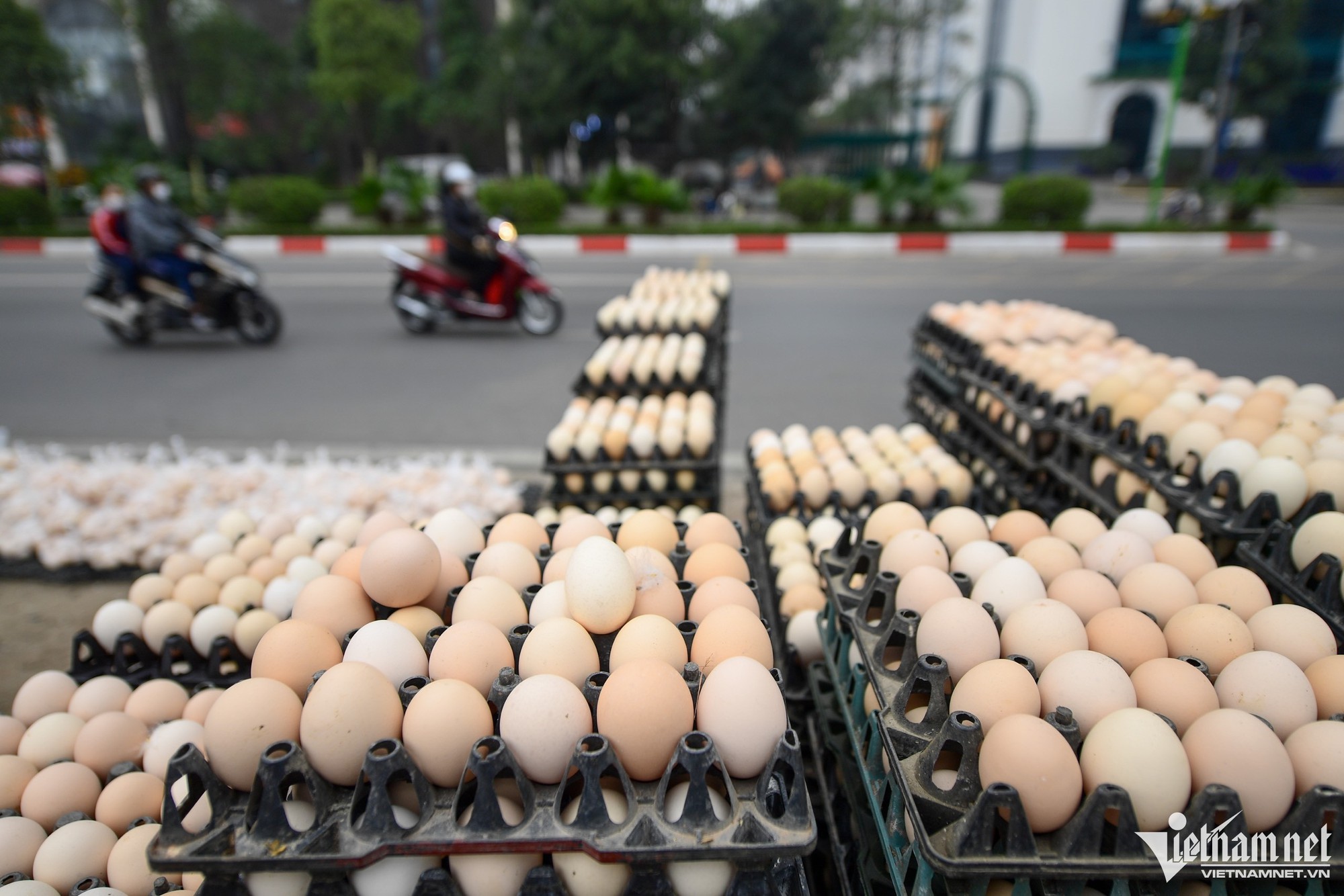 Đây là lý do trứng gà giá rẻ được bán tràn lan ở vỉa hè Hà Nội, chuyên ...