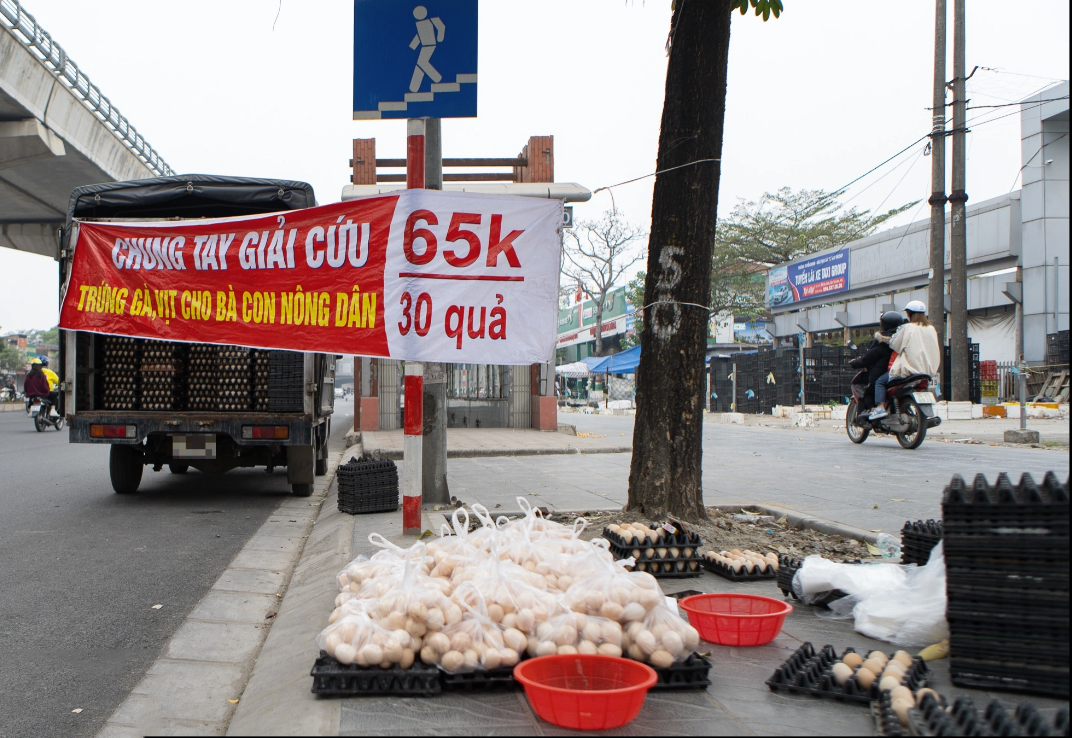 Sự thật đằng sau chiêu ‘giải cứu’ trứng gà giá siêu rẻ bán tràn vỉa hè Hà Nội - Ảnh 1.