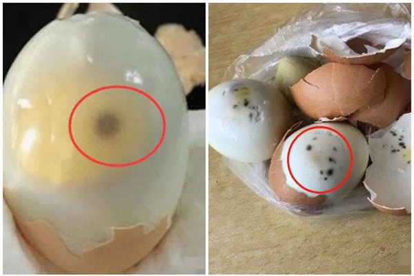 Trứng gà đang rẻ, nhưng đừng ăn theo cách này cách này, nếu không sẽ rước hoạ vào thân  - Ảnh 3.