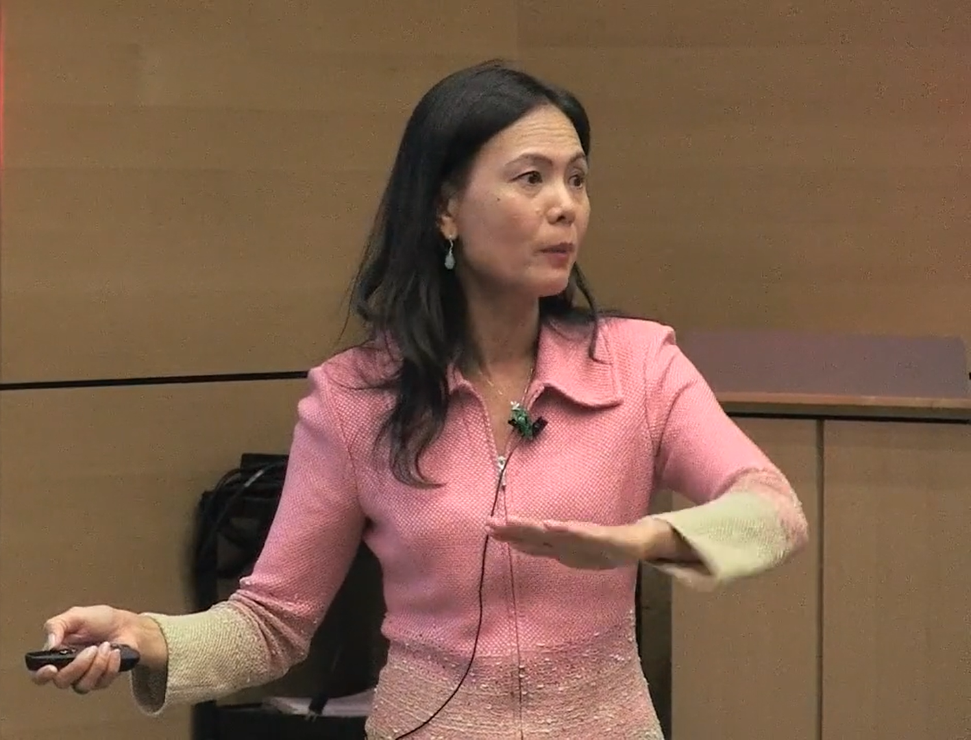 Nữ Giáo sư gốc Việt được bầu vào Viện hàn lâm Kỹ thuật quốc gia Mỹ - Ảnh 4.