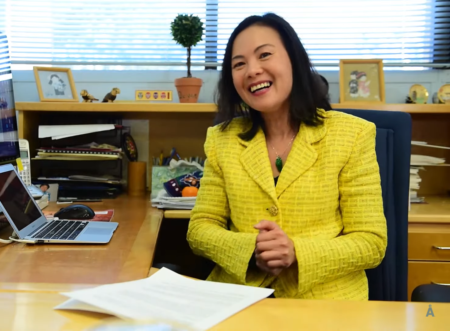 Nữ Giáo sư gốc Việt được bầu vào Viện hàn lâm Kỹ thuật quốc gia Mỹ - Ảnh 1.