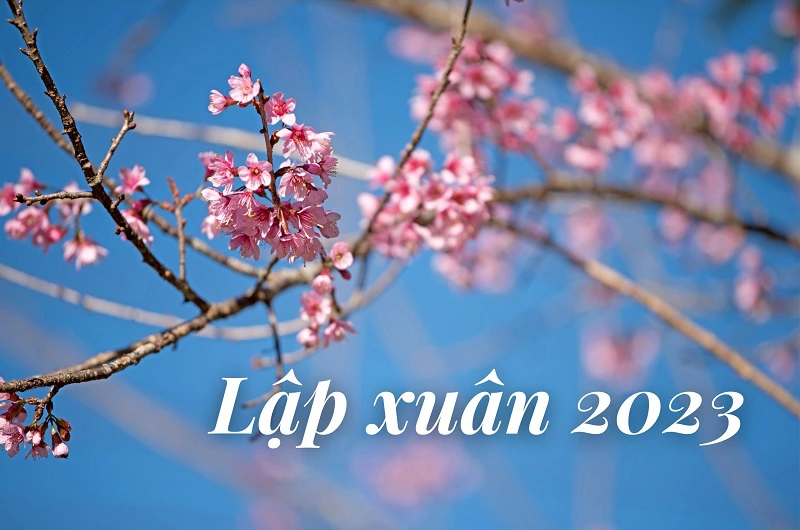 111 Hình nền Happy New Year 2023 siêu HOT cho máy tính điện thoại  Ảnh  Cười Việt