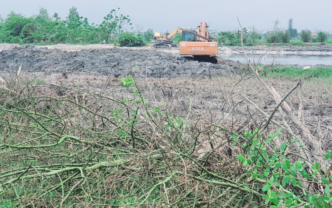 Thừa Thiên Huế: Làm rõ việc nhiều diện tích rừng ngập mặn bị san ủi khi làm bờ kè
