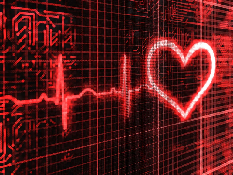 Ai sống lâu hơn, một người có nhịp tim 60 hay một người có nhịp tim 80?   - Ảnh 1.