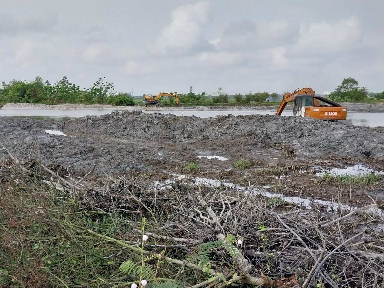 Video: Hiện trường nhiều diện tích rừng ngập mặn ở Thừa Thiên Huế bị san lấp 'do sơ suất' - Ảnh 2.