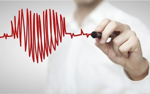 Người có nhịp tim nhanh hay chậm, ai sống lâu hơn?