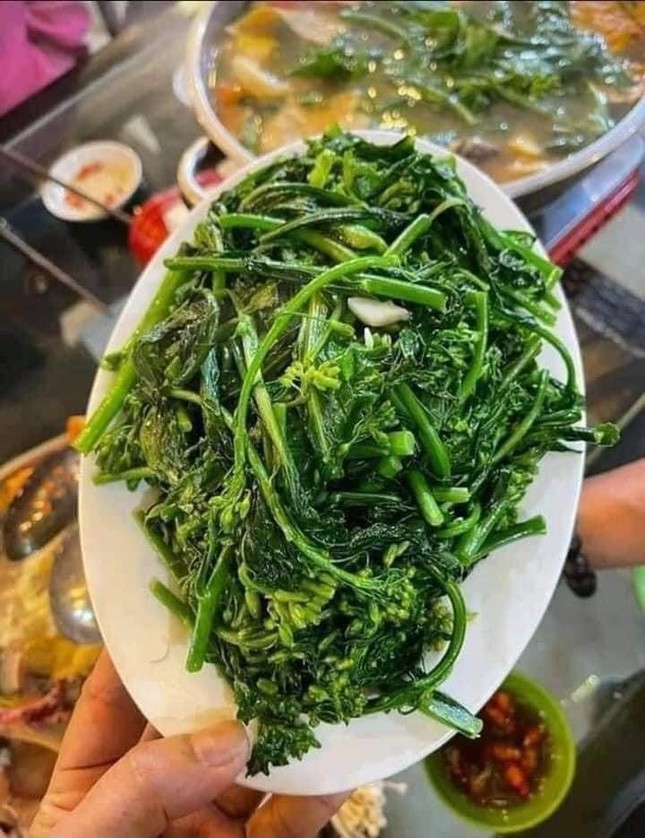 Lạ Lùng Lá Cà Rốt, Mầm Cải Bắp Chỉ Nhổ Bỏ Đi Nay Lại Là Hàng Hiếm, Giá Đắt  Mấy Cũng Được Chị Em Lùng Mua Bằng Được