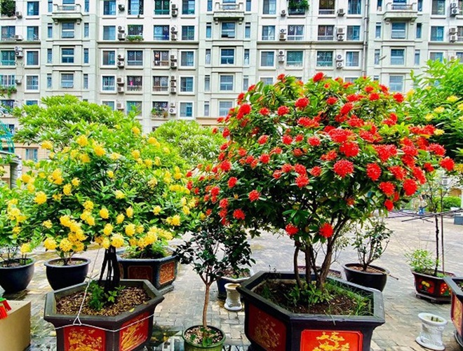 Biệt thự nhà vườn như lâu đài của &quot;Đại gia chân đất&quot; Quang Tèo - Ảnh 5.