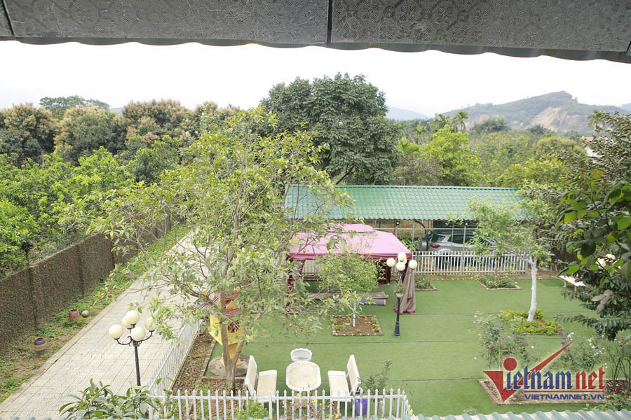 NSND Thanh Hoa đau lòng khi nhìn vườn cây 11 năm trồng trọt tan hoang- Ảnh 13.