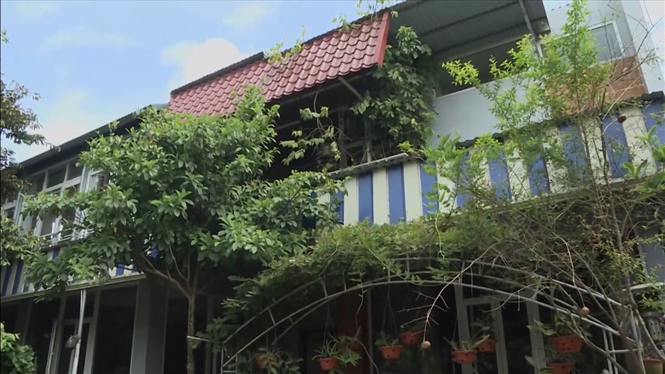 NSND Thanh Hoa đau lòng khi nhìn vườn cây 11 năm trồng trọt tan hoang- Ảnh 19.