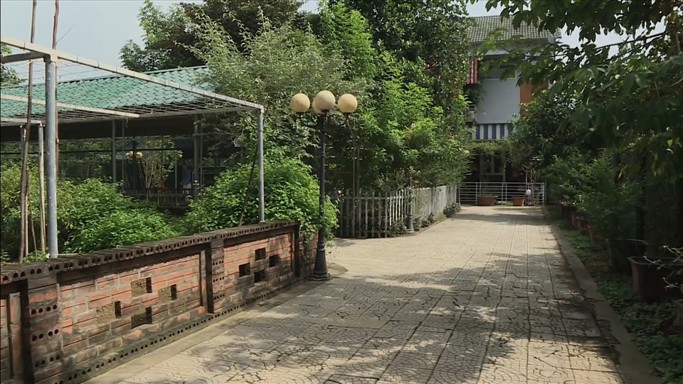 NSND Thanh Hoa đau lòng khi nhìn vườn cây 11 năm trồng trọt tan hoang- Ảnh 24.