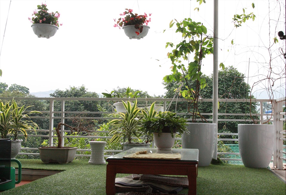 NSND Thanh Hoa đau lòng khi nhìn vườn cây 11 năm trồng trọt tan hoang- Ảnh 12.