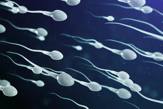 Vô sinh ở nam giới có phải do số lượng tinh trùng? - Ảnh 2.