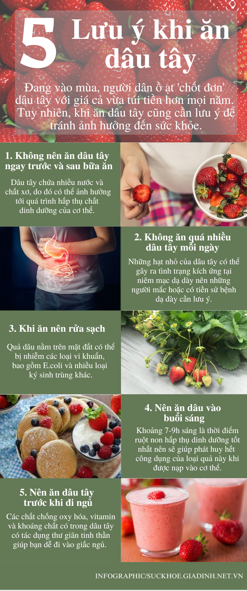 5 lưu ý quan trọng khi ăn dâu tây - Ảnh 1.