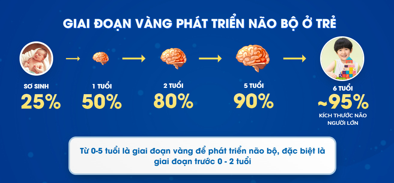 Muốn con phát triển trí não từ 1 ngày tuổi:  Cần bổ sung dinh dưỡng ra sao? - Ảnh 1.