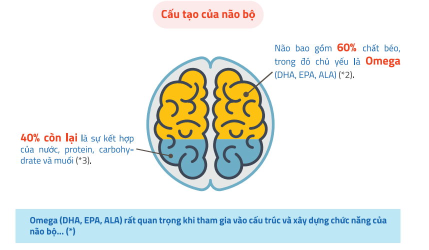 Muốn con phát triển trí não từ 1 ngày tuổi:  Cần bổ sung dinh dưỡng ra sao? - Ảnh 2.