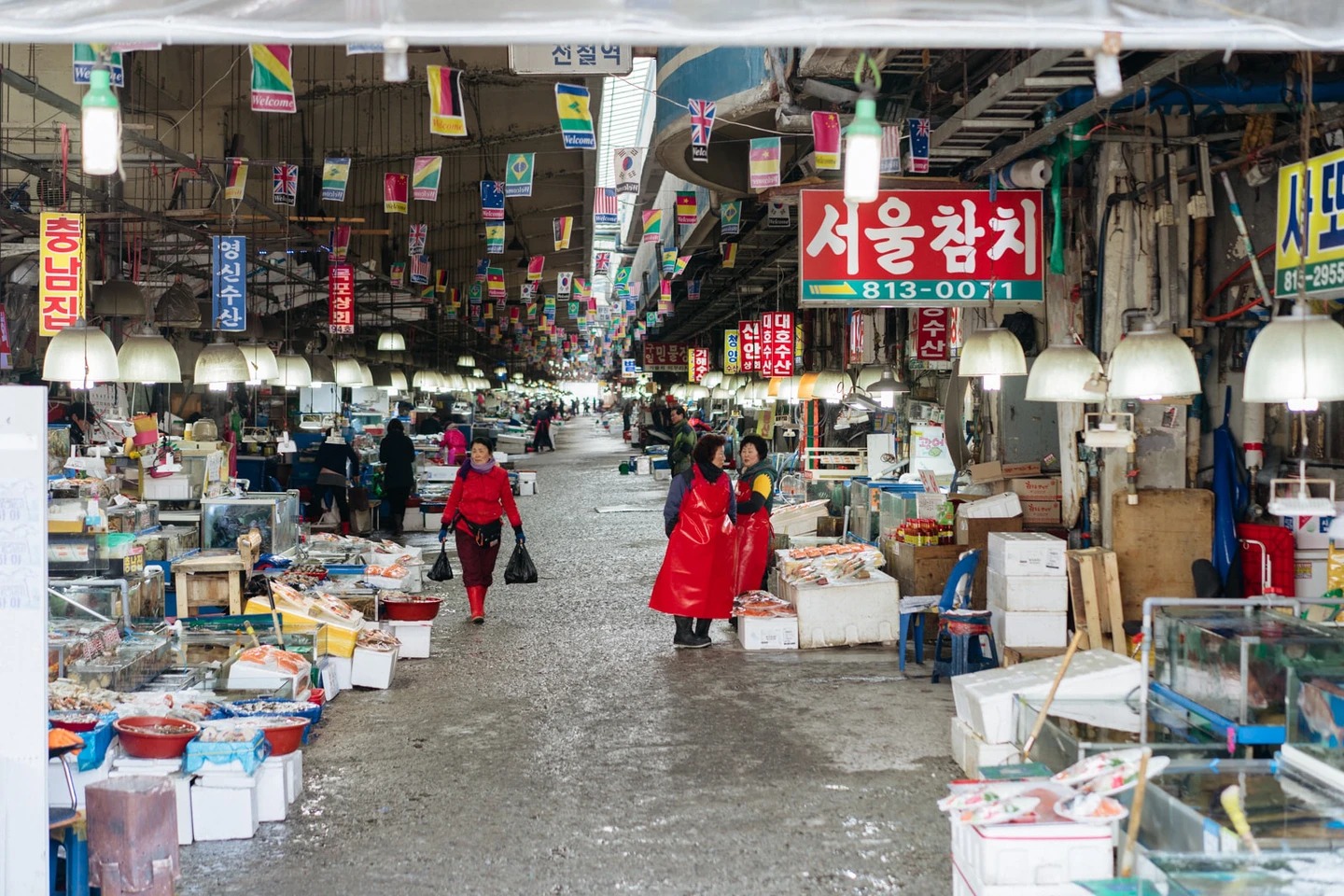 Cô gái Việt kể chuyện đi chợ hải sản tươi sống nổi tiếng Hàn Quốc: Có thể ăn ngay tại chợ luôn, 4 triệu đồng một bữa không gọi là đắt - Ảnh 8.