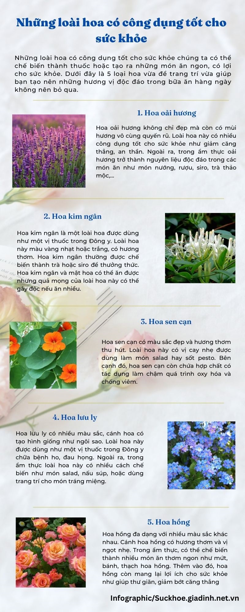 Những loài hoa có công dụng tốt cho sức khỏe
