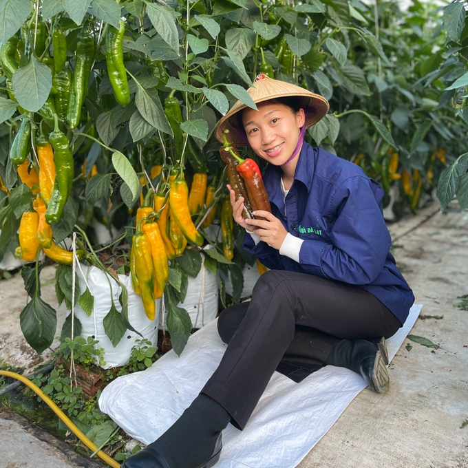 Chốt gần 1.000 đơn trong 15 phút nhờ bán trái lạ Đà Lạt - Ảnh 1.