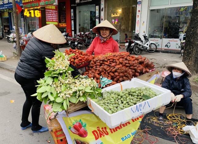 Hà Nội: Hoa quả đặc sản tưởng rẻ hóa đắt, loại đắt giá lại rẻ không tưởng - Ảnh 3.