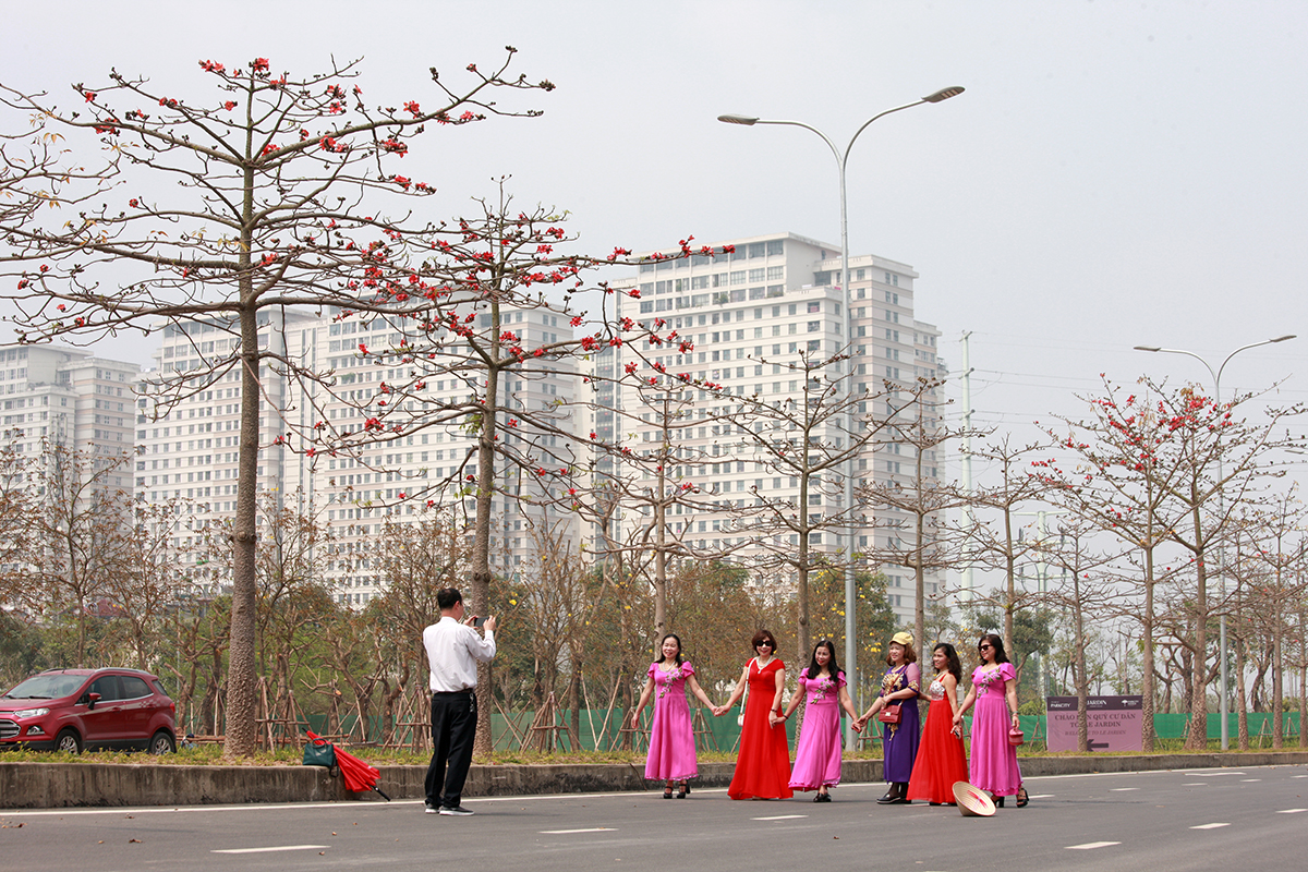 Chị em Hà thành lại sắp sửa 'sốt sình sịch' với con đường hoa gạo đỏ rực trời - Ảnh 4.