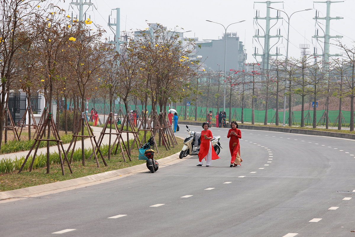 Chị em Hà thành lại sắp sửa 'sốt sình sịch' với con đường hoa gạo đỏ rực trời - Ảnh 1.