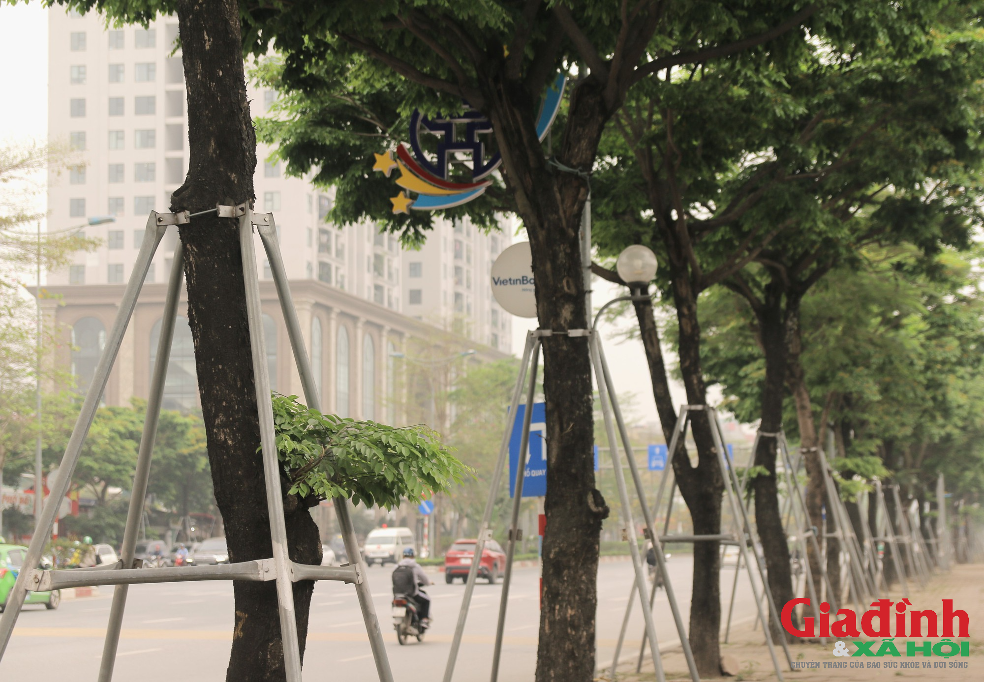 Loạt cây xanh tại Thủ đô vẫn đang chịu cảnh &quot;gông&quot; siết cổ - Ảnh 1.