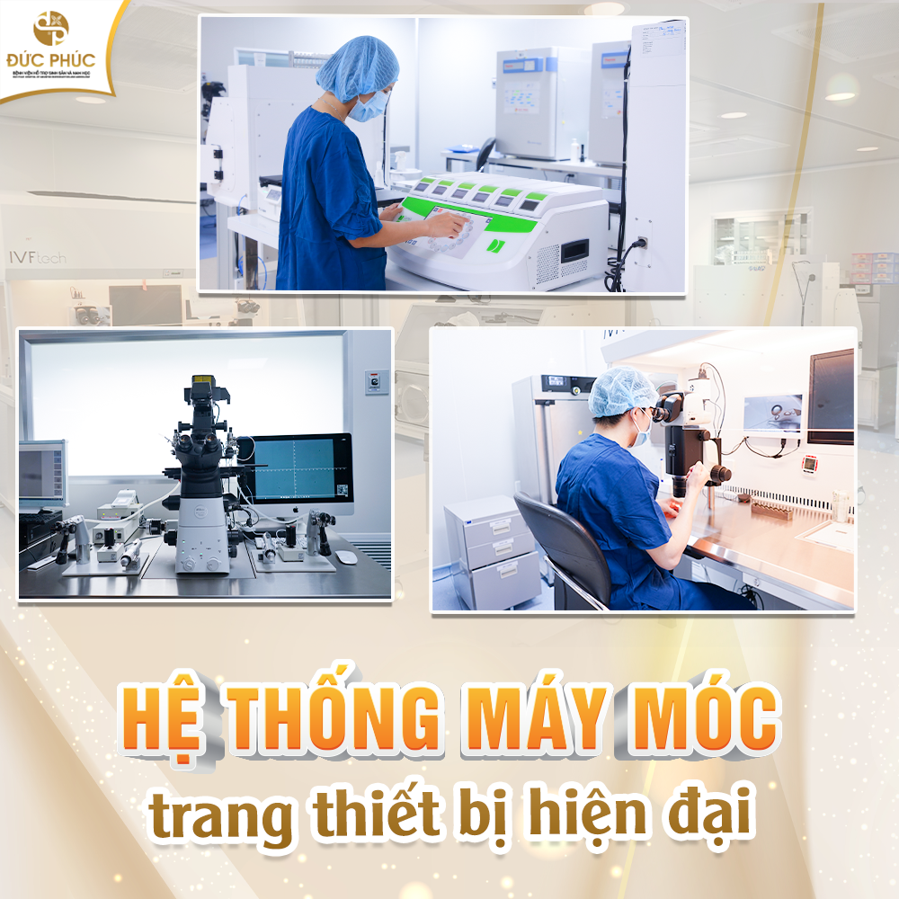 5 lý do để thụ tinh ống nghiệm IVF Bệnh viện Đức Phúc luôn đạt tỷ lệ thành công trên 90% - Ảnh 4.