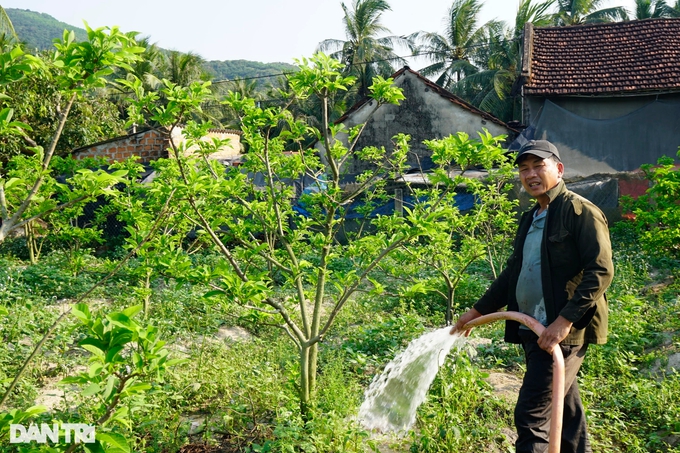 Nông dân bỏ túi hàng trăm triệu đồng mỗi năm nhờ loại quả nhiều mắt - Ảnh 1. Nông dân bỏ túi hàng trăm triệu đồng mỗi năm nhờ loại quả nhiều mắt - Ảnh 1.
