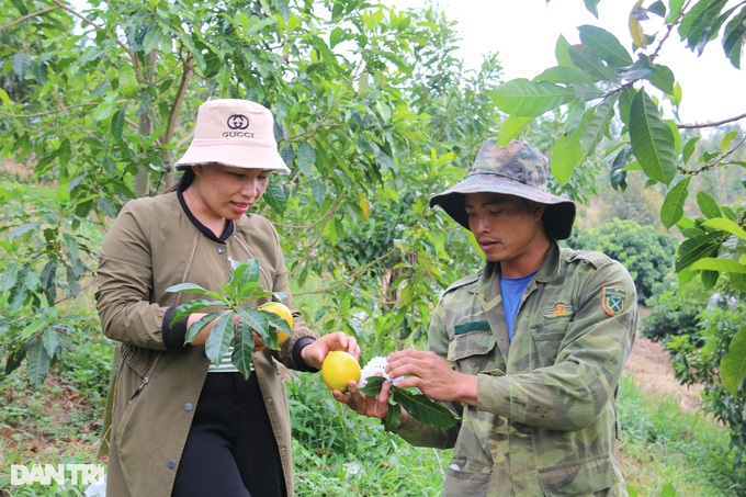 &quot;Vỗ&quot; vú sữa bằng tỏi ngâm rượu, nông dân trẻ thu trăm triệu mỗi năm - Ảnh 1.