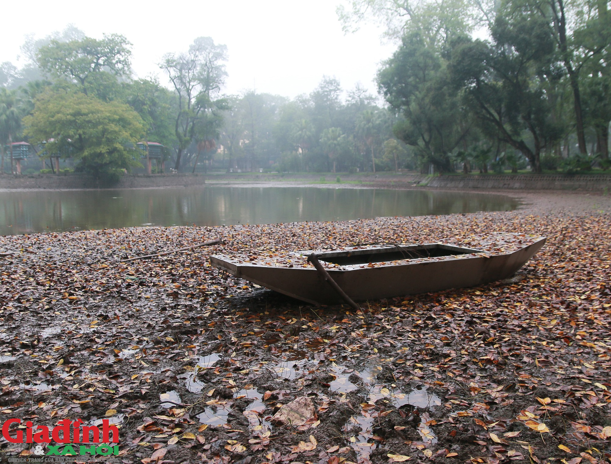 Hà Nội: Nhiều cây cổ thụ chết khô trong công viên Bách Thảo - Ảnh 12.